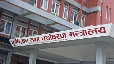 Photo of उखु किसानले १३ वटा चिनी मिलबाट पाए ९२ प्रतिशत रकम