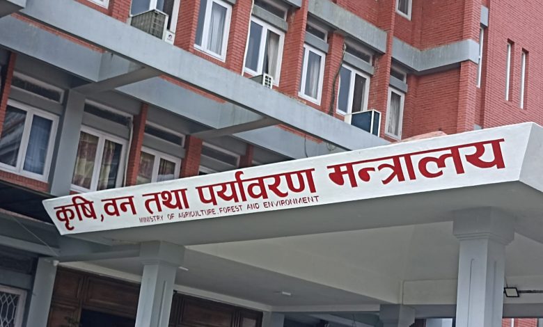 उखु किसानले १३ वटा चिनी मिलबाट पाए ९२ प्रतिशत रकम