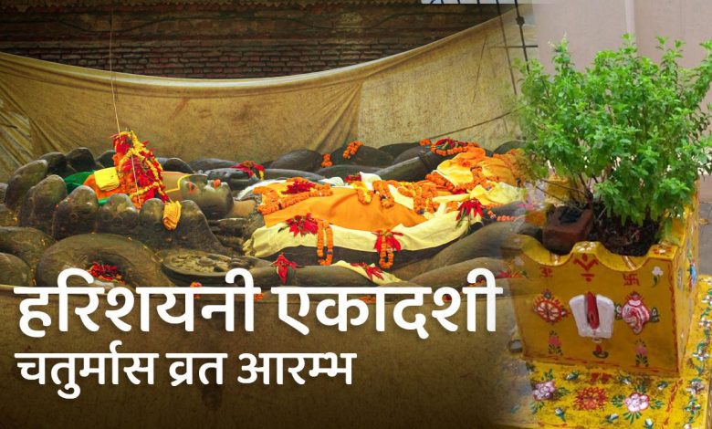 आज हरिशयनी एकादशी : तुलसीको बिरुवा सारिँदै आज हरिशयनी एकादशी : तुलसीको बिरुवा सारिँदै