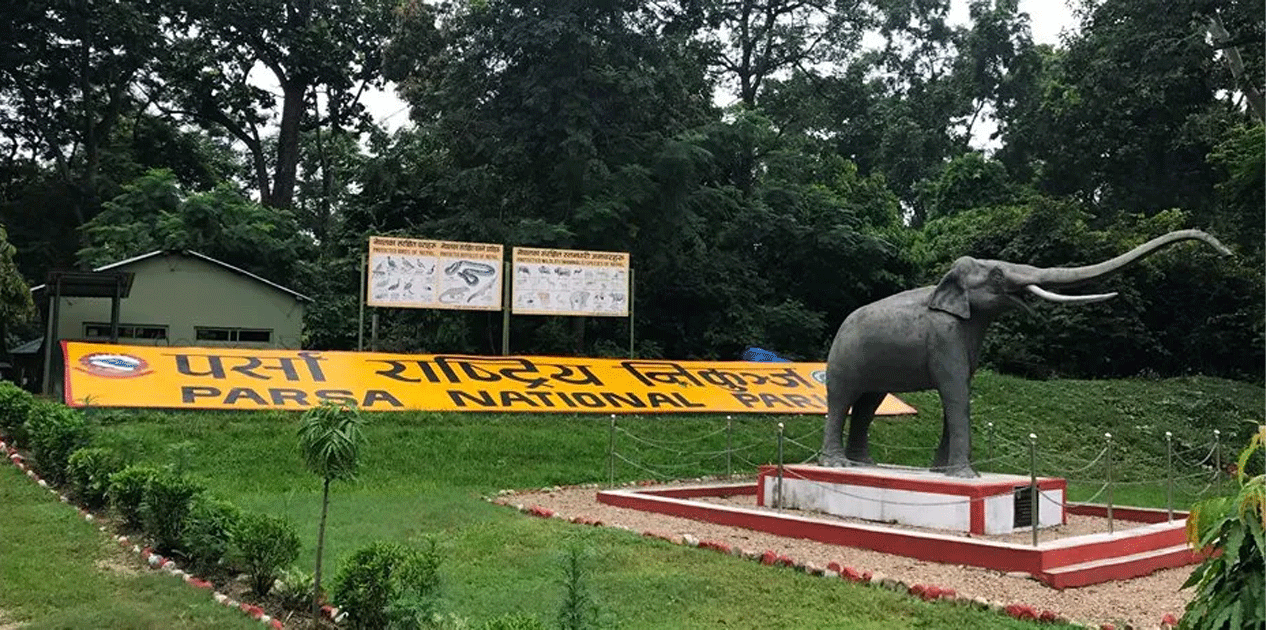 Photo of पर्सा राष्ट्रिय निकुञ्जमा मात्र चार वर्षमा ३० वटा बाघ थपिए