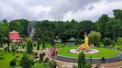 Photo of राप्ती शान्ति उद्यानमा प्रत्येक शनिबार निःशुल्क आँखा जाँच सेवा
