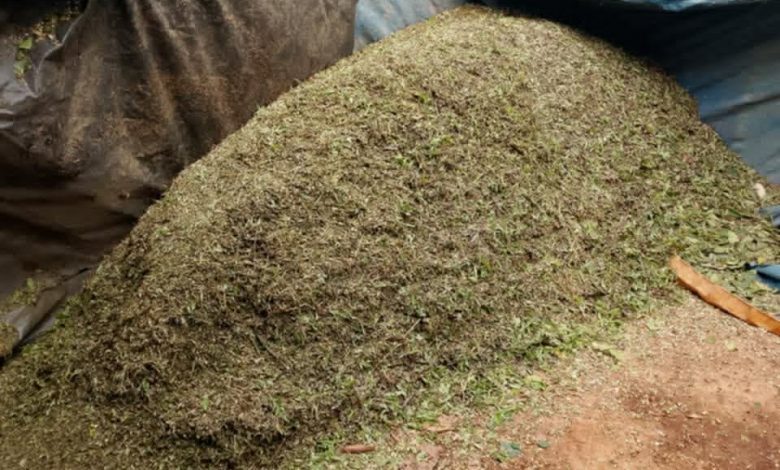 पातपतिङ्गरबाट प्राङ्गरिक मल – सार्वजनिक सेवा प्रसारण संस्था
