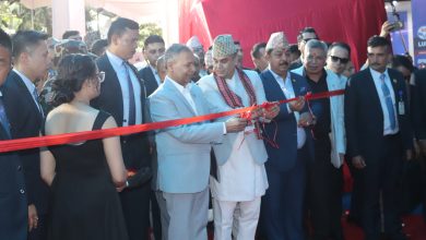 Photo of अटोमोबाइल क्षेत्र नेपालको अर्थतन्त्रको मेरुदण्डः उपराष्ट्रपति यादव