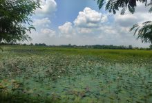 Photo of संरक्षणको अभावमा जीर्ण बन्दै कान्तिताल