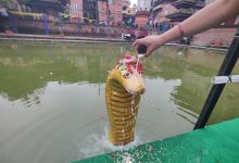 Photo of नागको पूजा, आराधना गरी नागपञ्चमी पर्व मनाइँदै