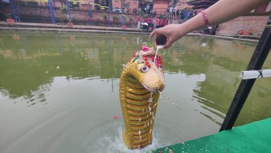 Photo of नागको पूजा, आराधना गरी नागपञ्चमी पर्व मनाइँदै