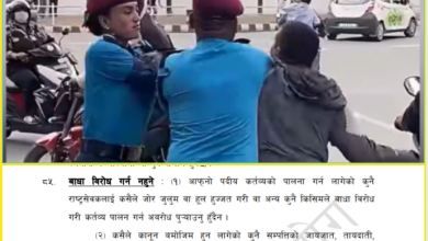 Photo of ड्युटीमा खटिएका प्रहरीलाई हातपात गर्नेलाई सजाय के हुन्छ ?