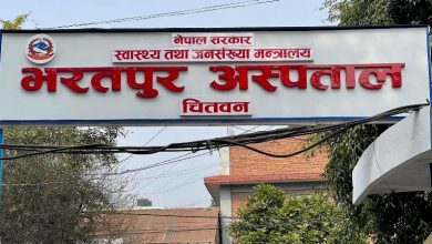 Photo of अब भरतपुर अस्पतालको प्रयोगशालाको नतिजा अनलाइनबाट