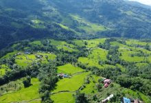Photo of भोजपुरमा ९६ प्रतिशत रोपाइँ सम्पन्न