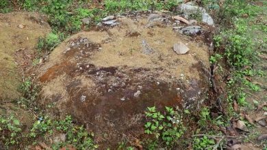 Photo of संरक्षणको पर्खाइमा हतुवागढीको ऐतिहासिक ‘फलाम ढुङ्गा’
