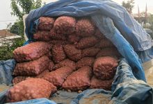 Photo of भोजपुरका गाउँमा फलेका आलु सहरका भान्सामा