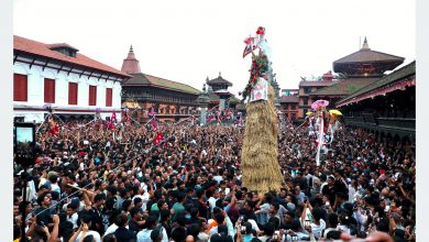 Photo of भक्तपुरमा मनाइयो गाईजात्रा