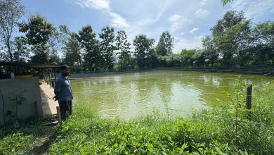 Photo of माछापालन व्यवसायबाट वार्षिक १५ लाख बचत