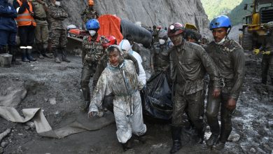 Photo of चिलिमेमा चार र अप्पर त्रिशूलीमा पाँच शव भेटिए