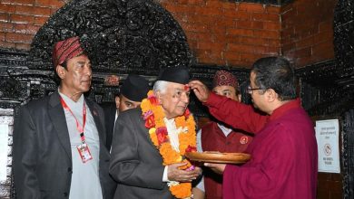 Photo of ढालियो इन्द्रजात्राको लिङ्गो, राष्ट्रपतिद्वारा कुमारीसँग टीका प्रसाद ग्रहण