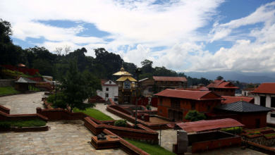 Photo of विपद्को पीडामा खल्लो बन्दै तीज