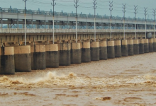Photo of नारायणीको बाढी खतराको तह नजिक, गण्डक ब्यारेजका सबै ढोका खुला