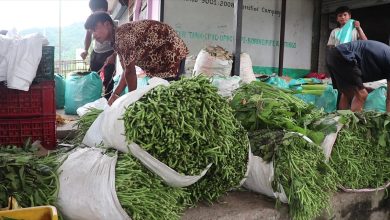 Photo of राजमार्ग अवरुद्ध हुँदा धादिङका तरकारी किसान मारमा