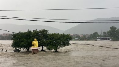 Photo of नारायणी नदीले सतर्कता तह पार गर्यो