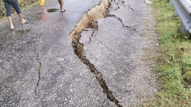 Photo of पहलमान सिंहस्वाँर मार्ग भासियो