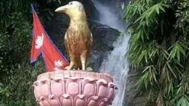 Photo of आज कागे अष्टमी पर्व मनाइँदै