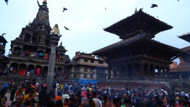Photo of श्रीकृष्ण रथयात्रा एवं शोभा यात्रा गरिँदै