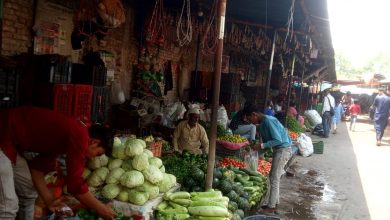 Photo of नेपालगन्जको तरकारी बजार पहाडको उत्पादनले धान्दै