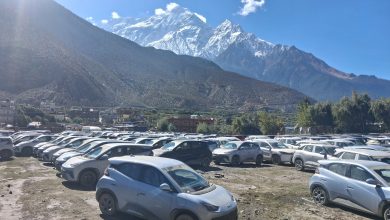 Photo of कोरलानाकाबाट भित्रिएका ‘इभी’लाई गन्तव्यमा पुर्‍याउन सकस