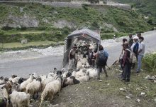 Photo of सहरको स्वादका लागि छुट्छ हिमालको दसैँ–तिहार