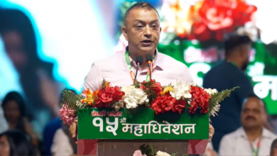 Photo of डेमोक्रेसी र डेलिभरीबीच पुलको काम कांग्रेसले गर्छ :थापा