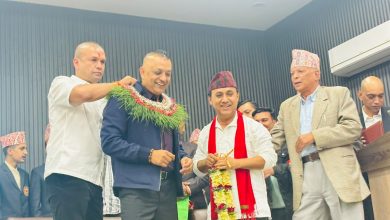 Photo of पाली कांग्रेसका नवनिर्वाचित सभापति गगन थापाद्वारा शपथग्रहण
