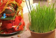 Photo of आश्विन शुक्ल सप्तमीः फूलपाती भित्र्याइँदै