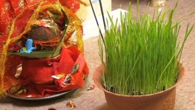 Photo of आश्विन शुक्ल सप्तमीः फूलपाती भित्र्याइँदै