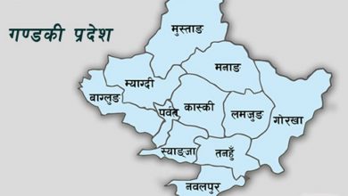 Photo of दसौँ राष्ट्रिय खेलकुदका लागि गण्डकी प्रदेशको तयारी सुरु