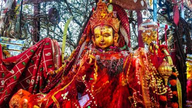 Photo of पाथीभराबाट तीन महिनामा ३३ लाख रुपैयाँ बढी सङ्कलन