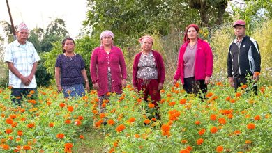 Photo of सामूहिक प्रयासमा फूलखेती